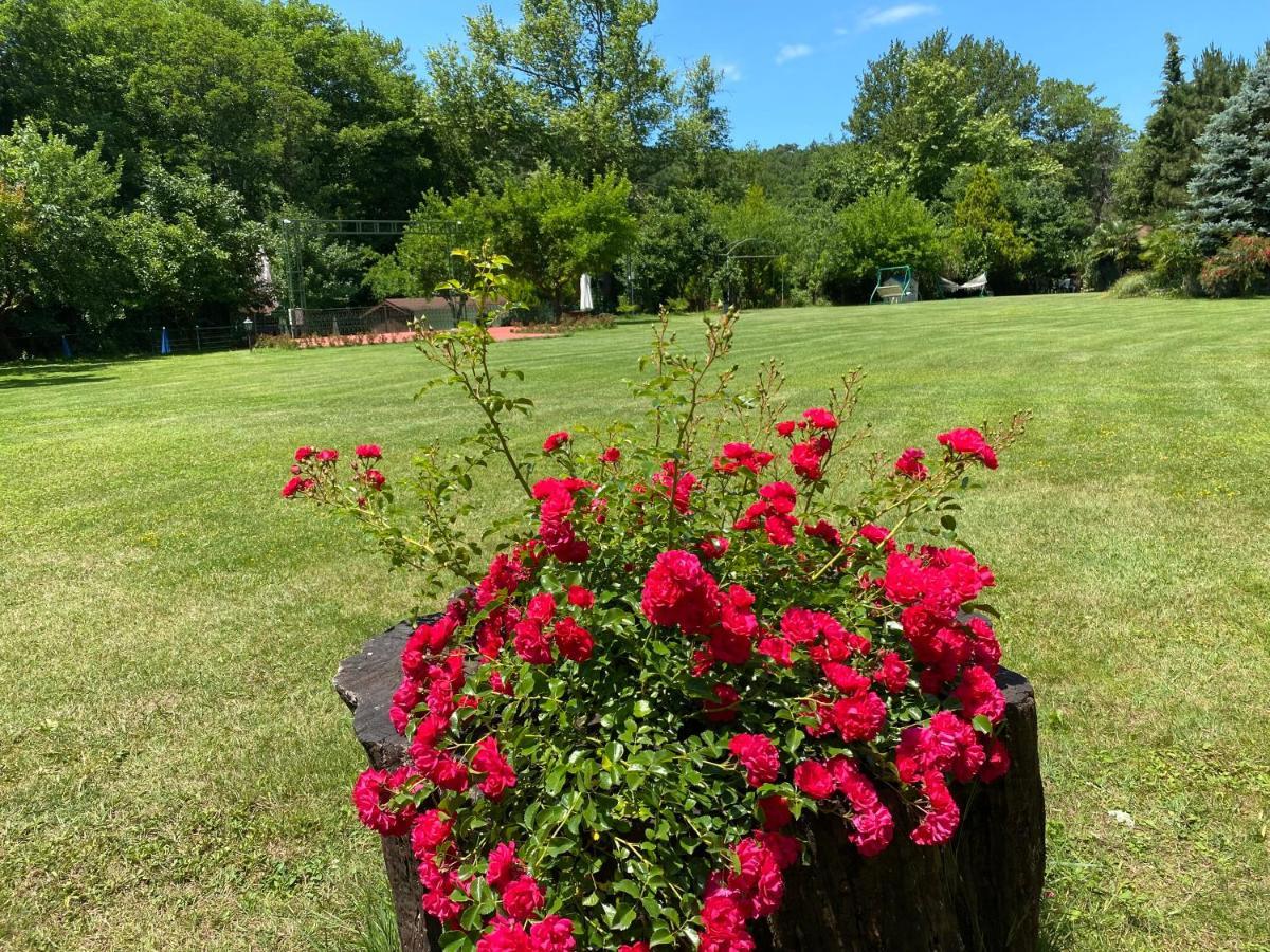 Sarikonaklar Garden Village Ağva Extérieur photo